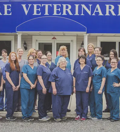 The Shore Veterinarians – Egg Harbor Team standing in front of the facility.